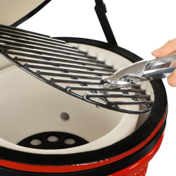 Grillrost abnehmbar