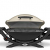 Weber Gasgrill Q 2000 - Titan